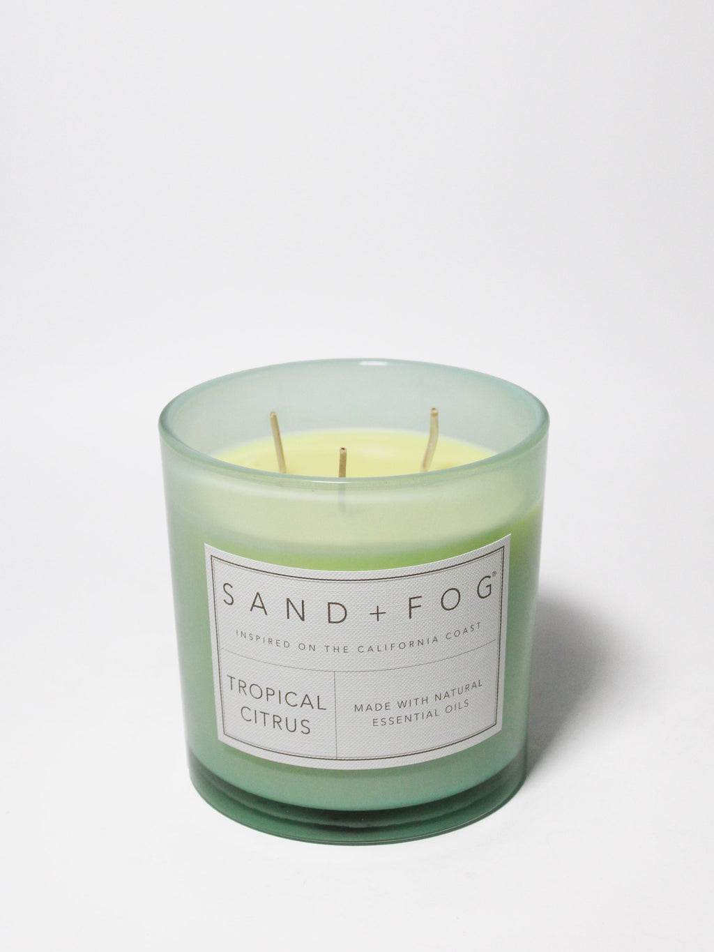 Aromatic Tropical Citrus 21 oz scented candle