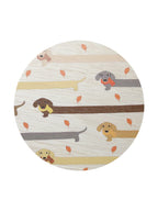 Aromatic Sand + Paws Apple Cider 12 oz scented candle