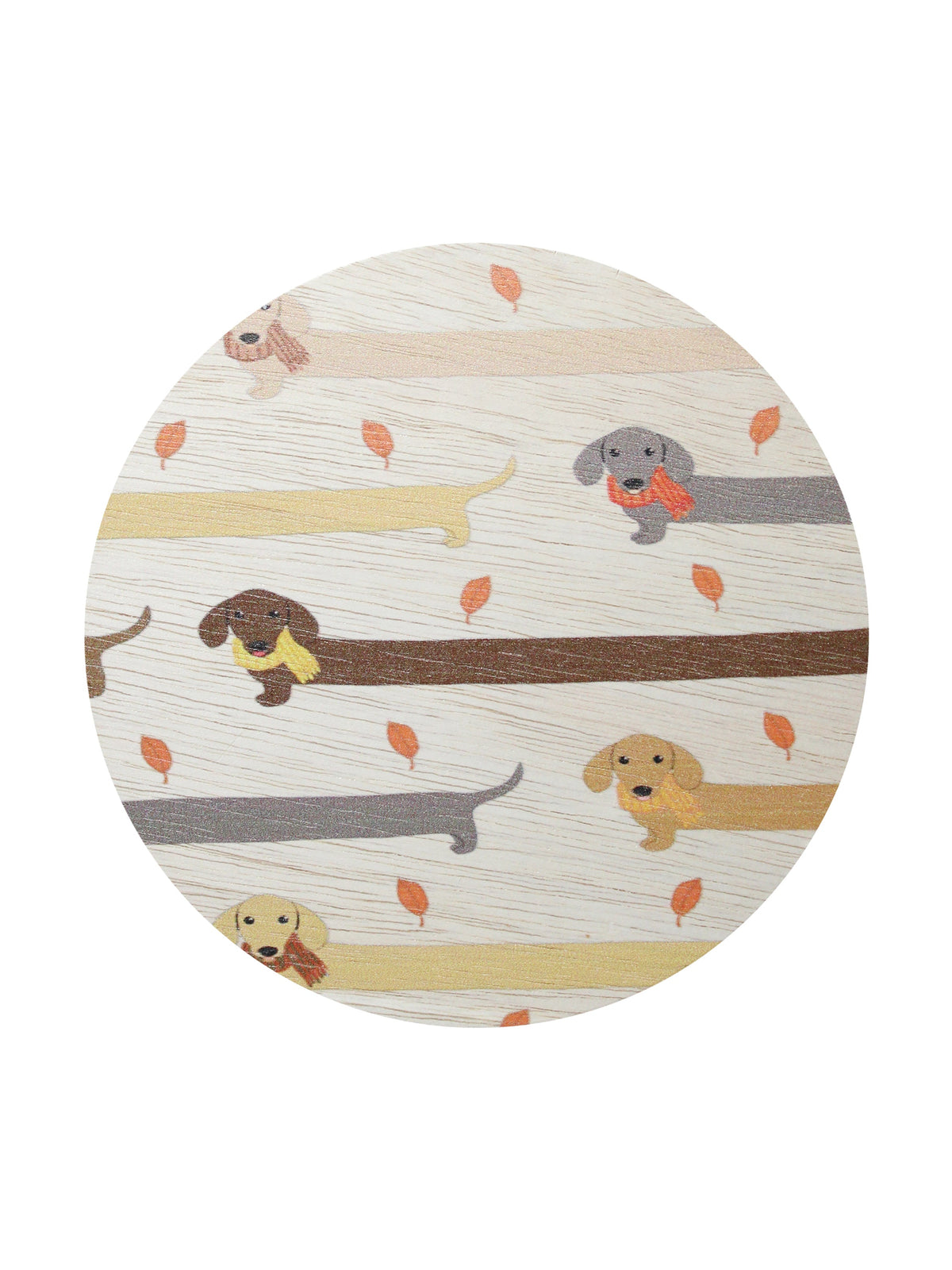 Aromatic Sand + Paws Apple Cider 12 oz scented candle