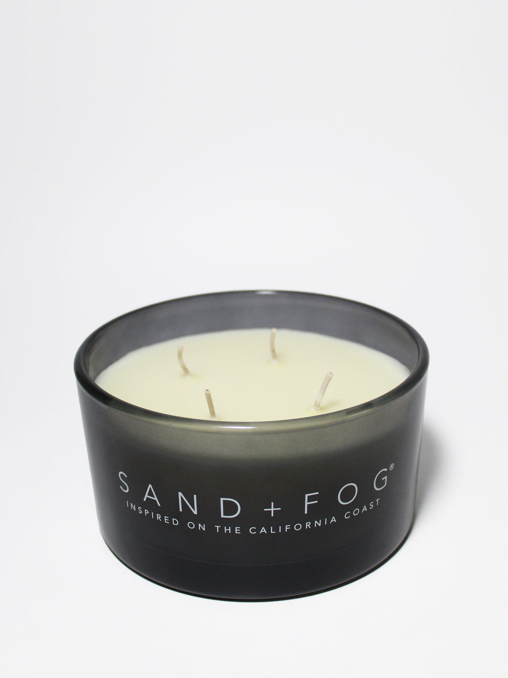 Aromatic Fern & Moss 23 oz scented candle