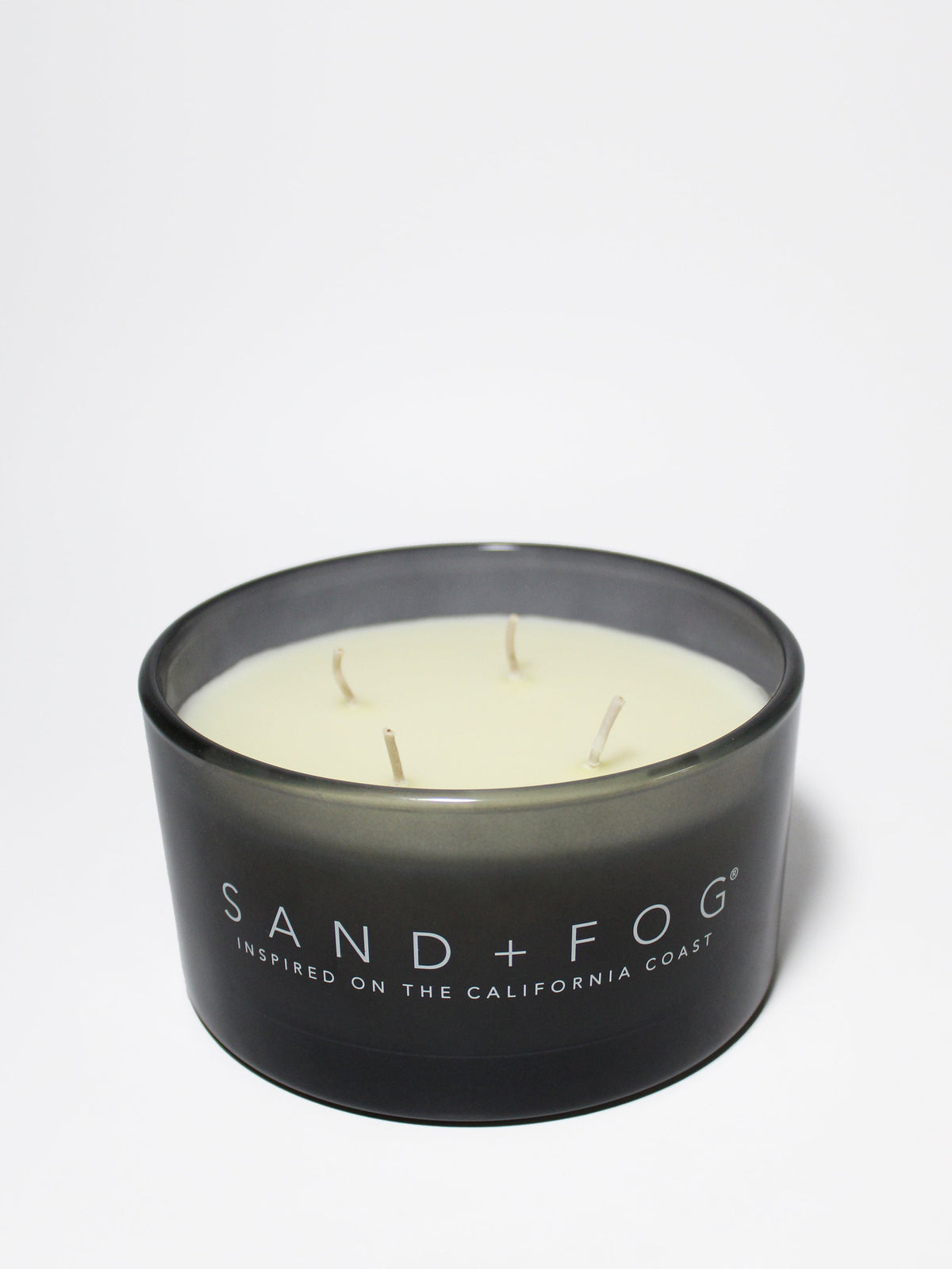 Aromatic Fern & Moss 23 oz scented candle