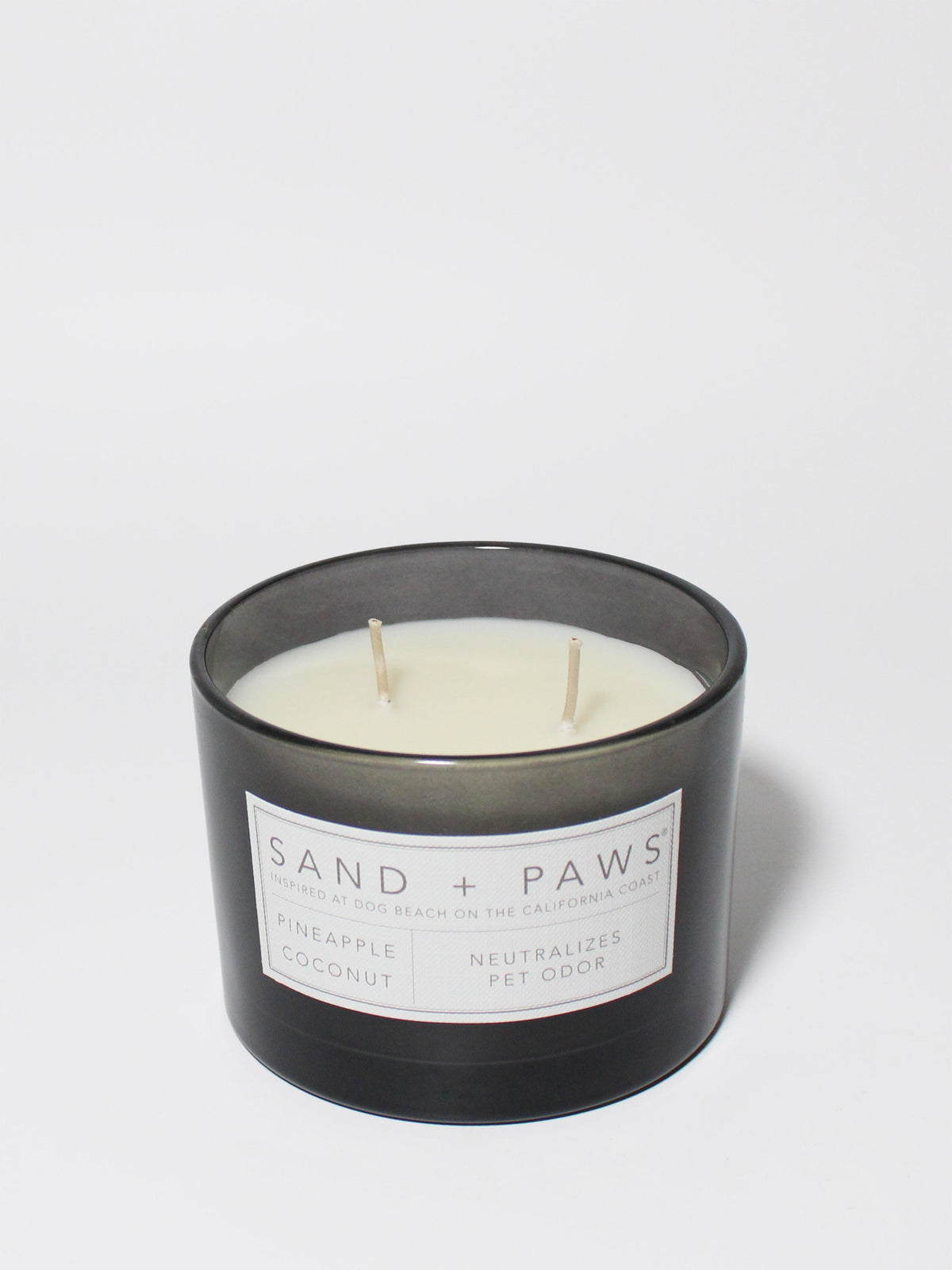 Aromatic Sand + Paws Pineapple Coconut 12 oz scented candle