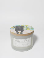 Aromatic Sand + Paws Tropical Citrus 12 oz scented candle