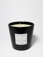 Aromatic Tropical Citrus Natural Home 31 oz scented candle