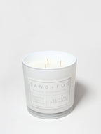 Aromatic Whipped Vanilla Pumpkin 21 oz scented candle