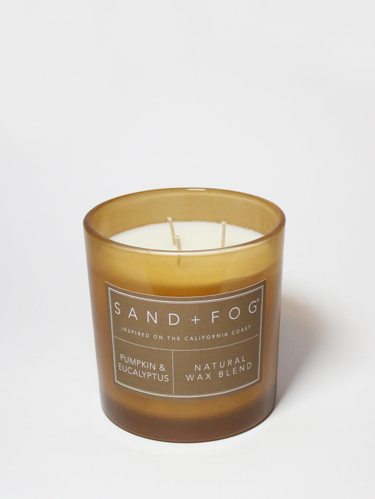 Aromatic Pumpkin & Eucalyptus 21 oz scented candle