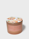 Aromatic Cinnamon Pumpkin 12 oz scented candle
