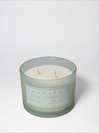 Aromatic Pine & Sage 12 oz scented candle