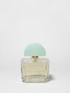 Premium Vanilla & Amber 100 ml Eau de Toilette