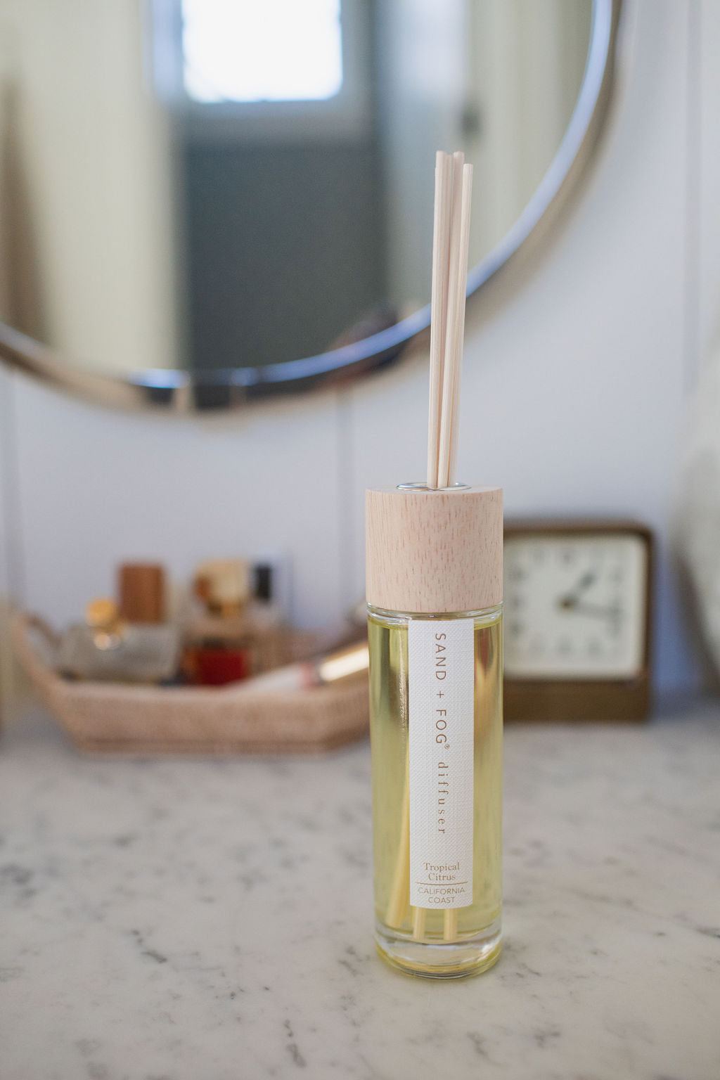 Premium Tropical Citrus 100 ml Reed Diffuser