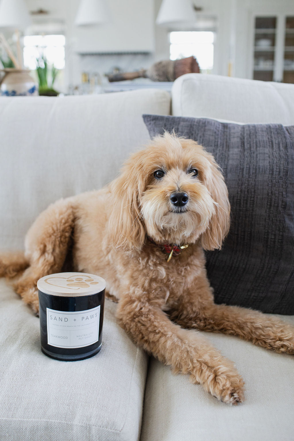 Aromatic Sand + Paws Teakwood 21 oz scented candle