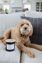 Aromatic Sand + Paws Teakwood 21 oz scented candle