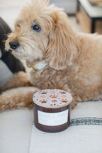 Aromatic Sand + Paws Amber & Fig 12 oz scented candle