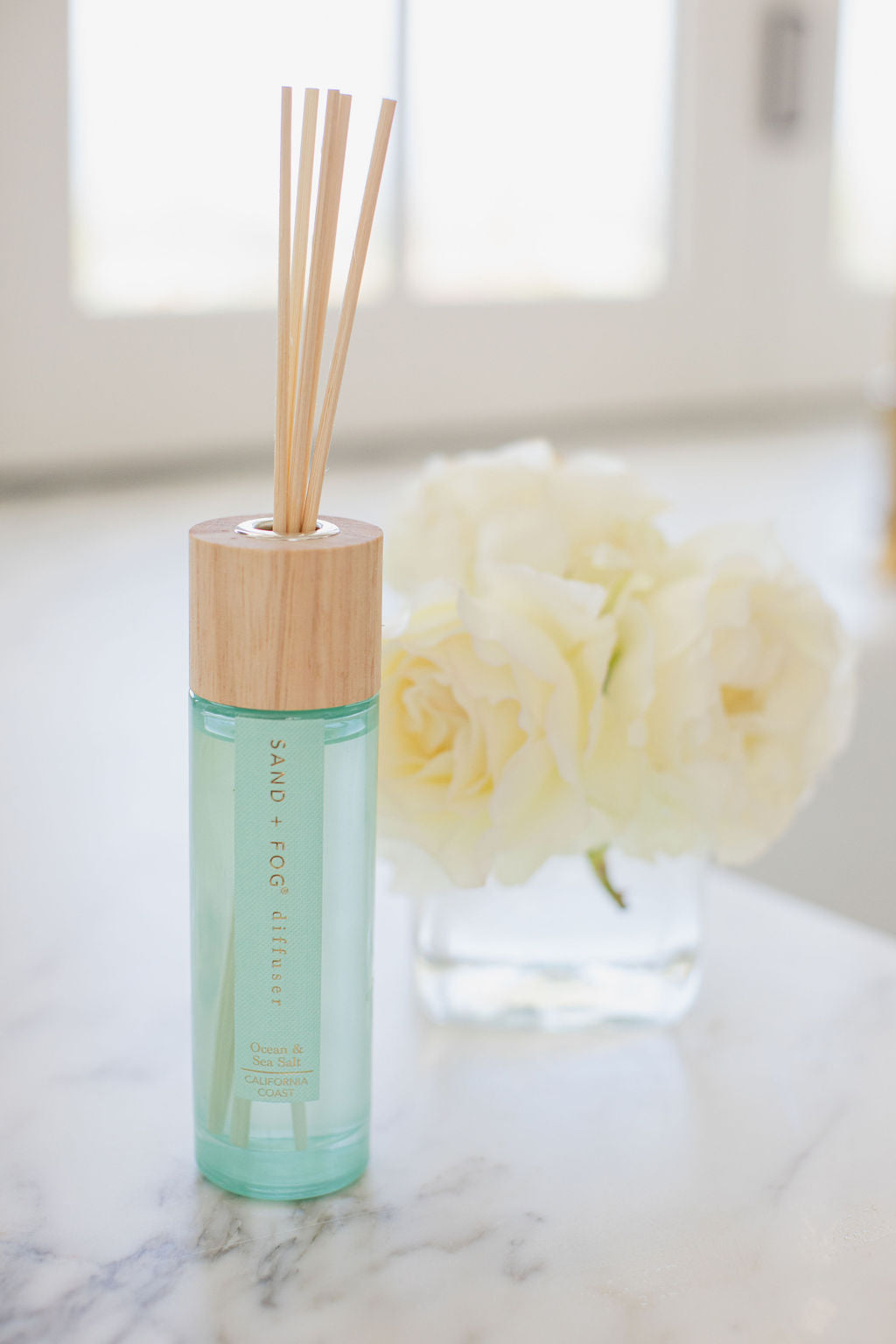 Premium Ocean & Sea Salt 100 ml Reed Diffuser