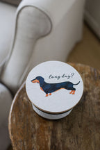 Aromatic Sand + Paws Cedar & Lavender 12 oz scented candle