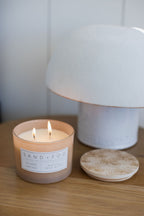 Aromatic Island Orchid 12 oz scented candle
