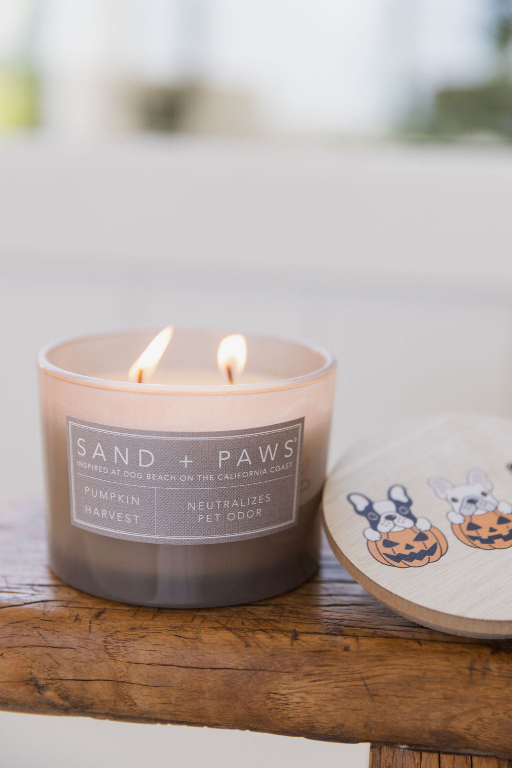 Aromatic Sand + Paws Pumpkin Harvest 12 oz scented candle