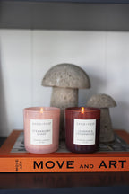 Aromatic Strawberry Shake 10 oz scented candle