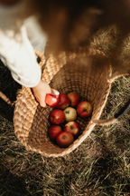Aromatic Apple Picking 12 oz scented candle