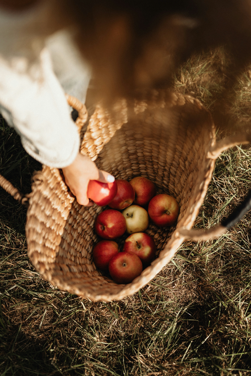 Aromatic Apple Picking 12 oz scented candle