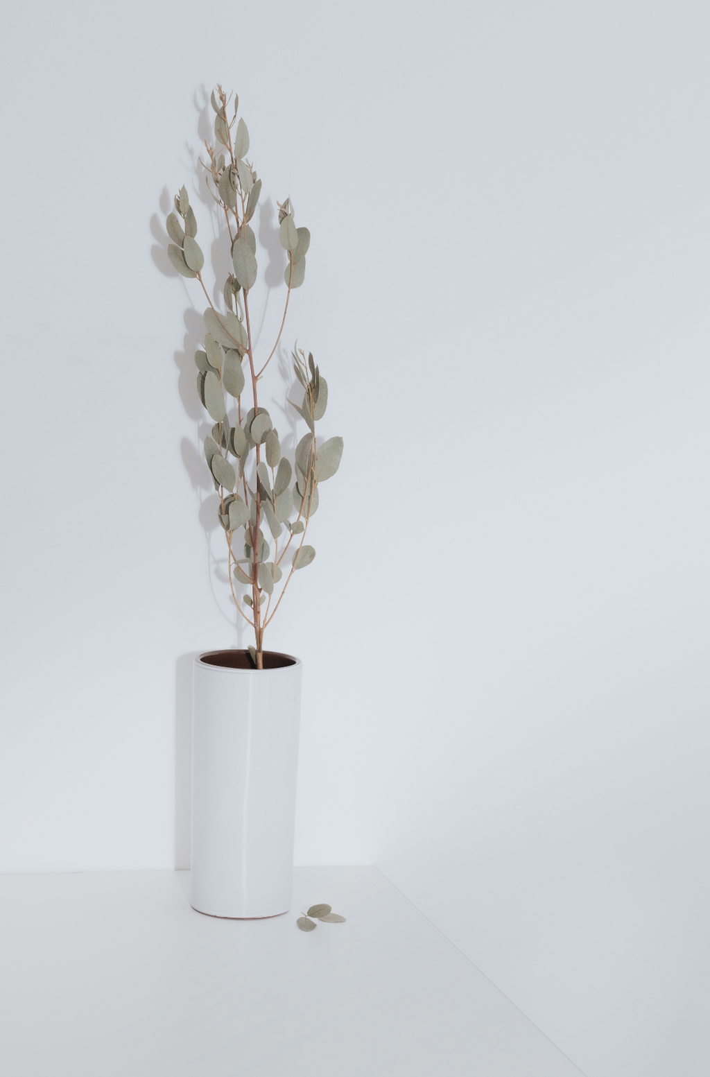 Premium Eucalyptus Spearmint 100 ml Reed Diffuser
