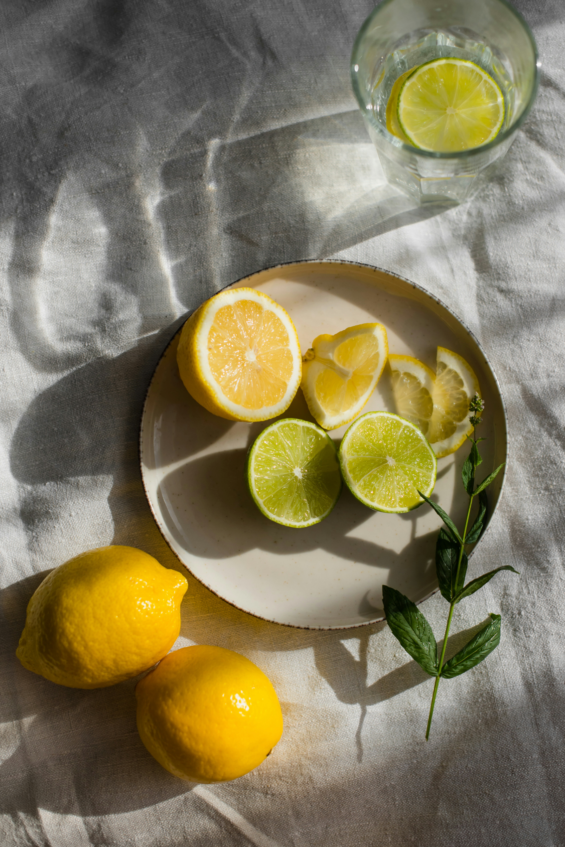 Premium Limoncello 100 ml Reed Diffuser