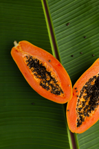 Aromatic Island Papaya 12 oz scented candle
