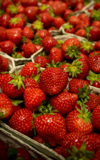 Luxury Strawberry Patch Modern Heirloom 12.17 oz Liquid Hand Soap