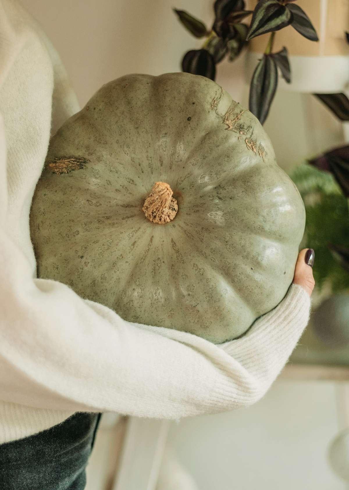 Luxury Sage Pumpkin 8.45 oz Liquid Hand Soap