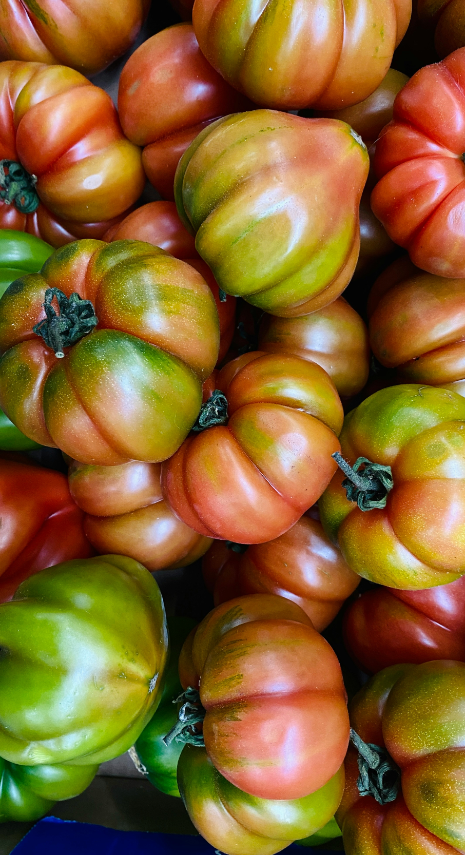 Aromatic Sicilian Tomato 12 oz scented candle