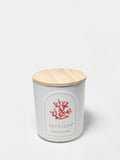 Aromatic Tropical Citrus 10 oz scented candle