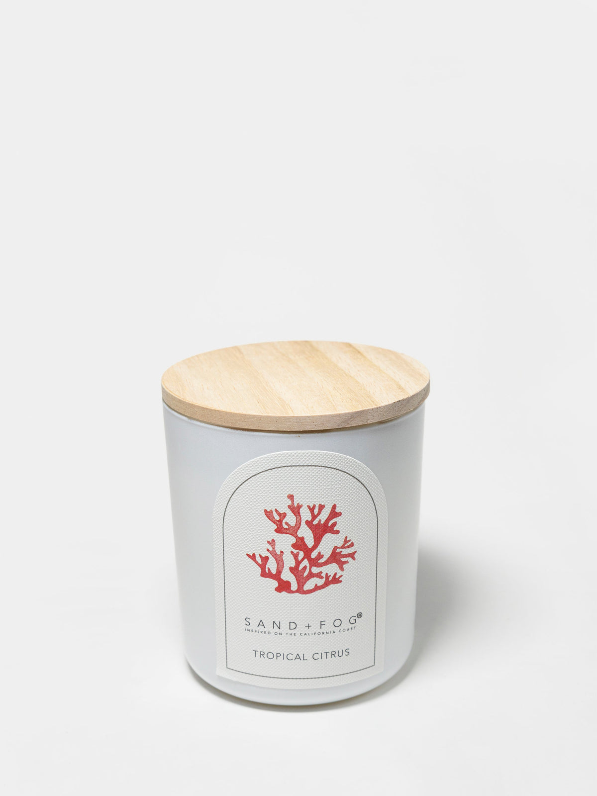 Aromatic Tropical Citrus 10 oz scented candle