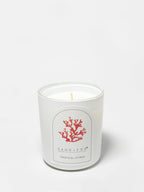 Aromatic Tropical Citrus 10 oz scented candle