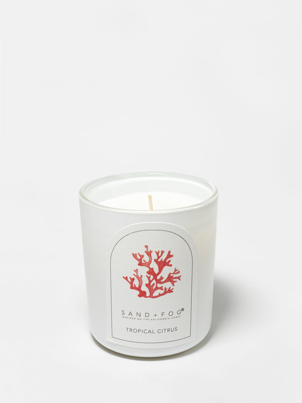 Aromatic Tropical Citrus 10 oz scented candle