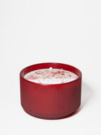 Aromatic Holiday 24 oz scented candle