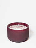 Aromatic Cranberry Evergreen 24 oz scented candle