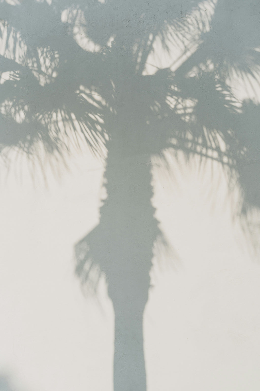 Signature White Palm 50 ml Perfume Oil Dropper