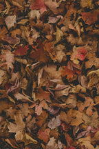 Aromatic Fall Leaves 12 oz scented candle