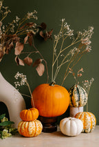 Aromatic Sand + Paws Pumpkin & Eucalyptus 12 oz scented candle