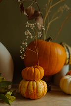 Aromatic Pumpkin Coconut 21 oz scented candle