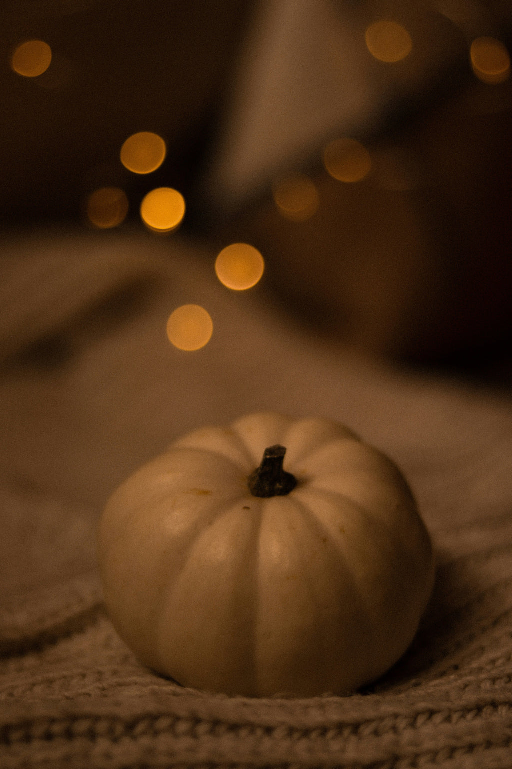 Aromatic Sand + Paws Pumpkin & Vanilla 12 oz scented candle