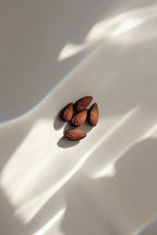Signature Vanilla Almond 50ml Perfume Oil Dropper